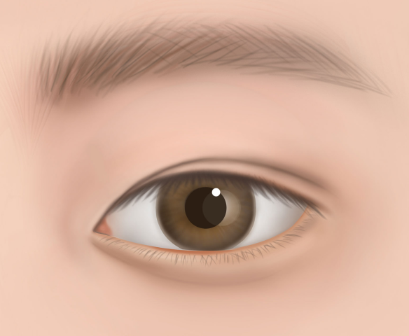 컬러 매칭 및 3D 모델링