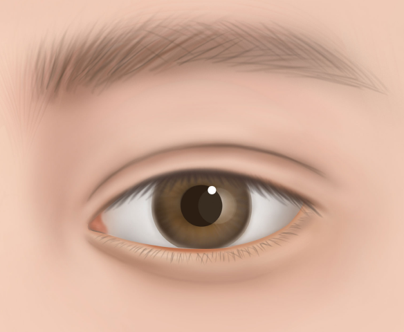 정밀 절단 및 숨겨진 연결부